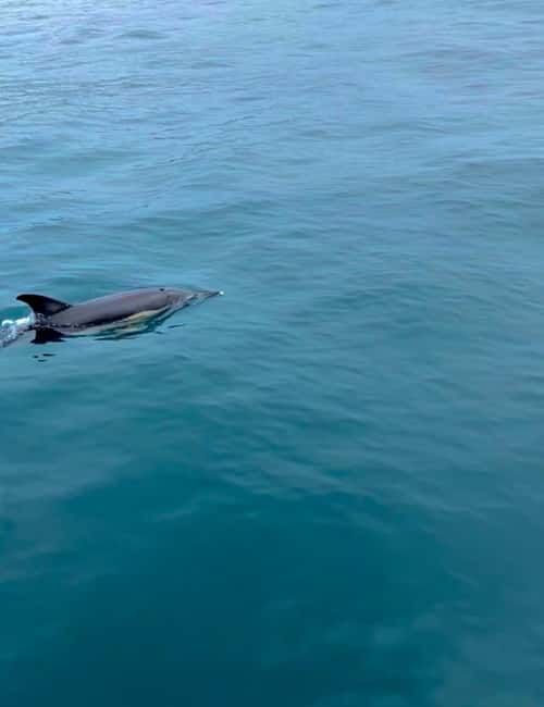 Sesimbra: Sailingboat Tour with Snacks & Drinks - The Food and Drinks: Snacks, Tapas, and Refreshments Onboard