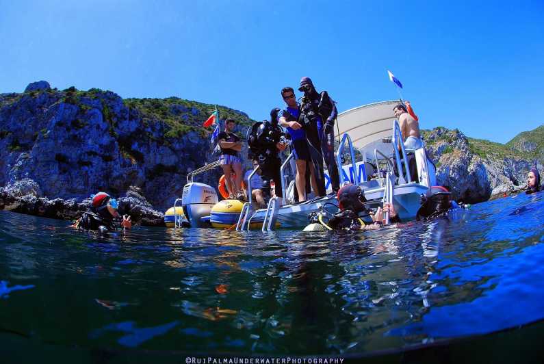 Sesimbra: Scuba Diving Experience for Beginners - Discover the Underwater Paradise of Sesimbra