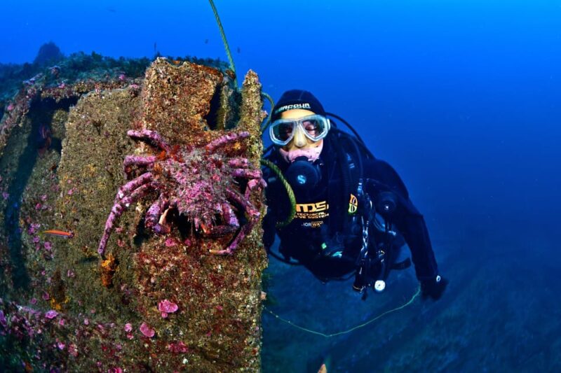 Sesimbra: Scuba Diving Experience for Beginners - The Equipment and Safety Measures