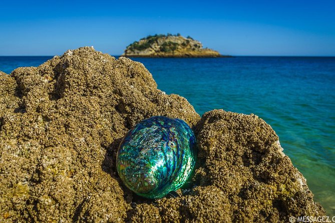 Sesimbra Wild Beach Tour from Lisbon - Key Points