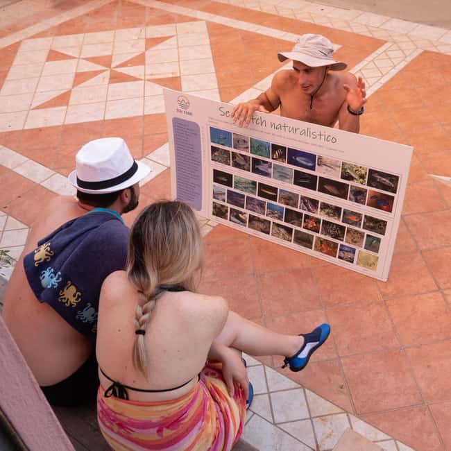 Sestri Levante: SUP & Snorkeling Experience - Snorkeling in Vibrant Marine Environments for 30 Minutes