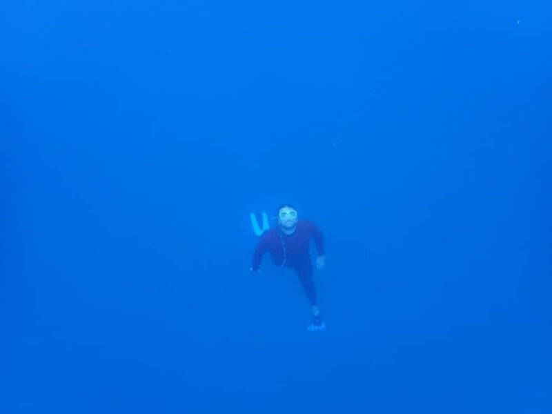 Sestri Levante: SUP & Snorkeling Experience - The Pacing and Group Size Enhance the Experience