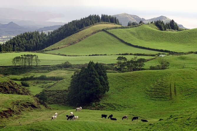Sete Cidades by Van (half day) - Convenient Pickup and Small Group Experience