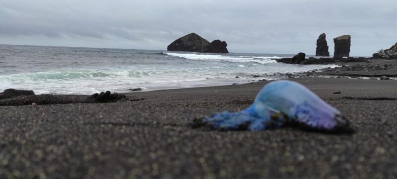 Sete Cidades Half Day Jeep Tour - Private - Off-Road Adventure with Comfort and Safety