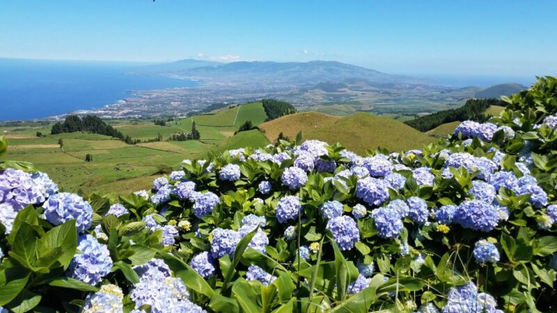 Sete Cidades - Half Day Tour - Explore the Stunning Sete Cidades Volcanic Crater