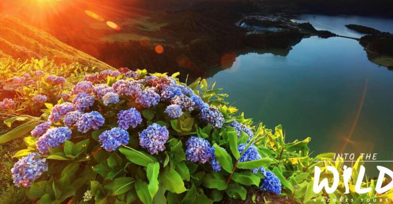 Sete Cidades & Lagoa do Fogo - Full-Day Tour - Exploring Sete Cidades and its Beautiful Surroundings