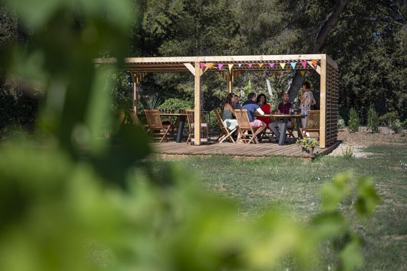 Sète: HalfDay Wine Tour - Key Points