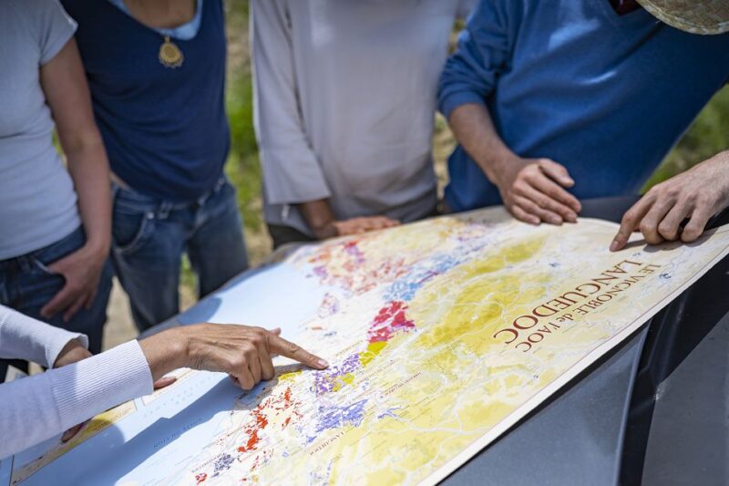 Sète: HalfDay Wine Tour - First Visit: Exploring a Traditional Languedoc Winery