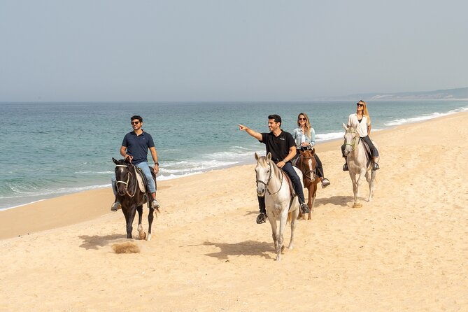 Setubal & Comporta Trip with Horseback Riding from Lisbon - Crossing the Troia Peninsula by Ferry