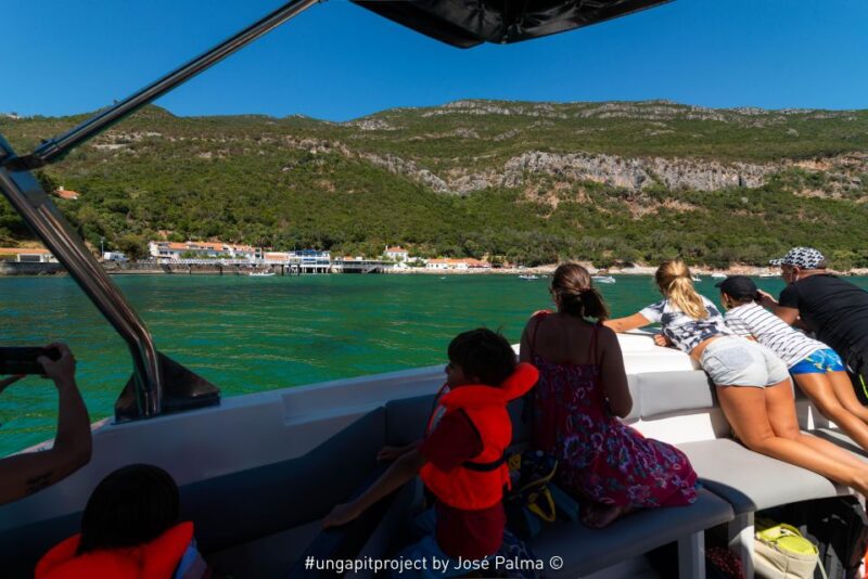 Setúbal: Dolphin Watching Boat Tour - Key Points