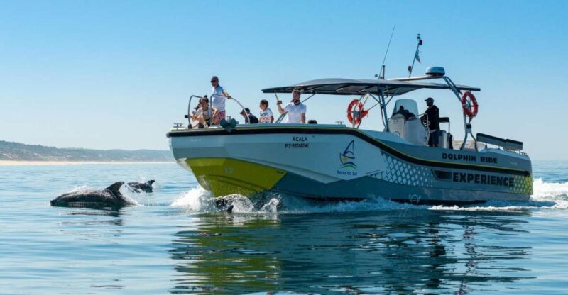 Setúbal: Dolphin Watching Boat Tour - Comparing This Tour to Similar Dolphin Experiences