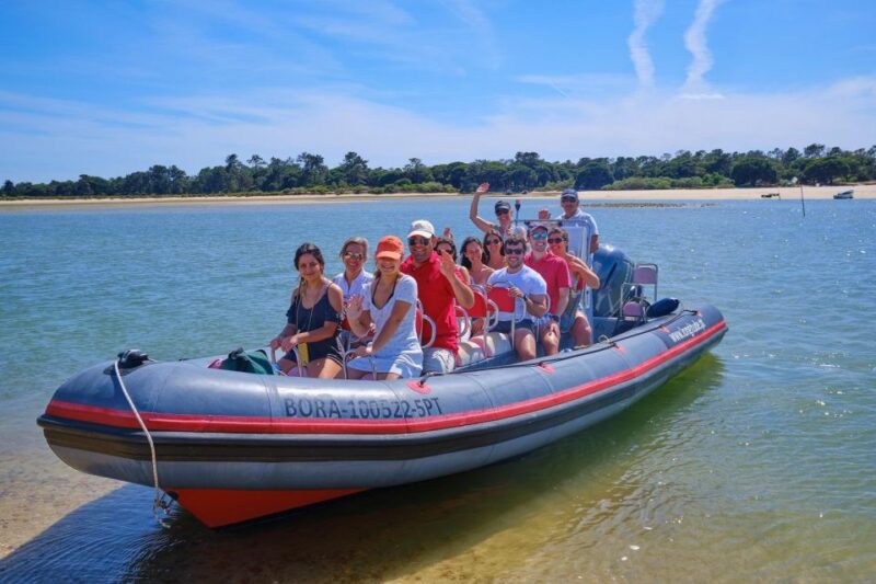 Setúbal: Dolphin-Watching Boat Tour - Cruising Past the Sado River and Albarquel Beach