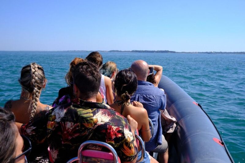Setúbal: Dolphin-Watching Boat Tour - Visiting the Islands in the Sado Mouth