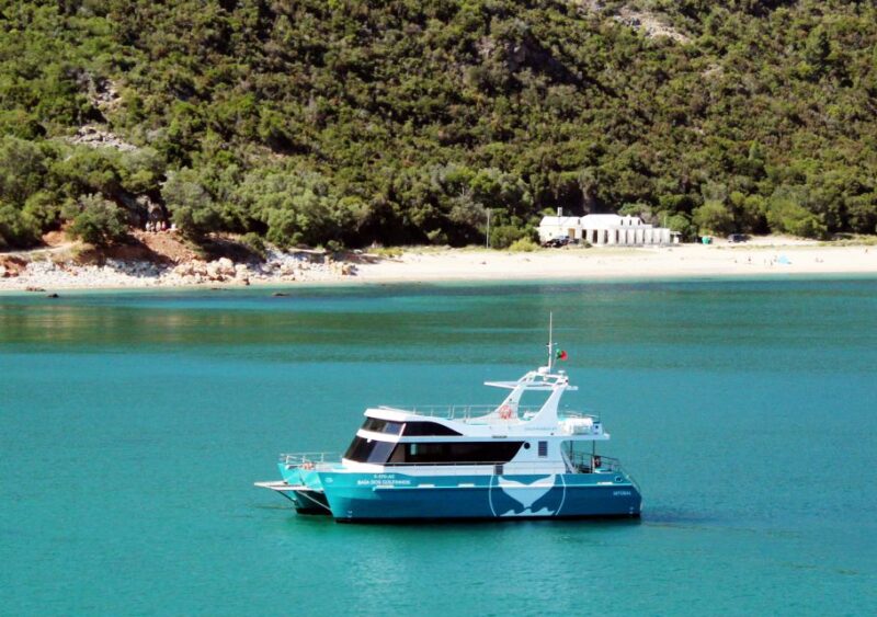 Setúbal: Dolphin Watching Tour - Setúbal: Dolphin Watching Tour – An Eco-Friendly Marine Adventure