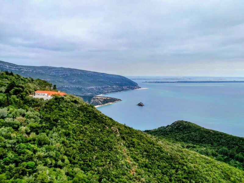 Setúbal: Market, Tiles and Wine (From Lisbon) - Explore Setúbal’s Famous Fish Market and Vibrant Atmosphere