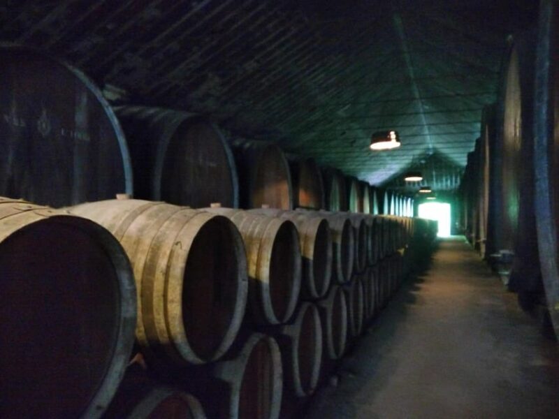 Setúbal: Market, Tiles and Wine (From Lisbon) - Discover Azeitão’s Artistic Tiles and Fine Wines