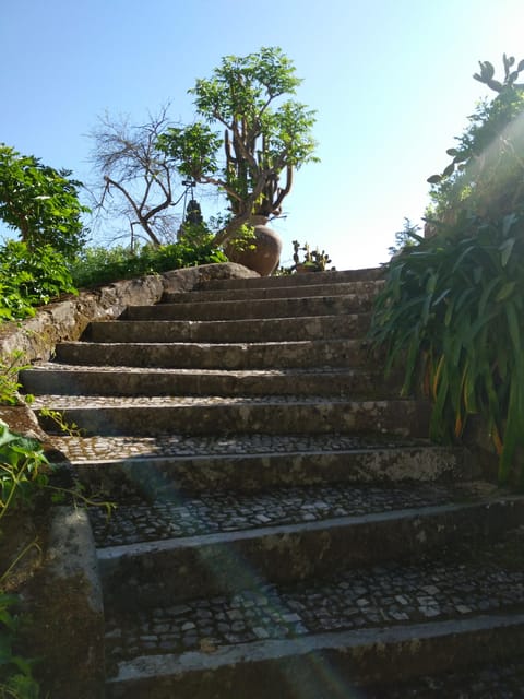 Setúbal: Market, Tiles and Wine (From Lisbon) - What Sets This Tour Apart from Similar Experiences