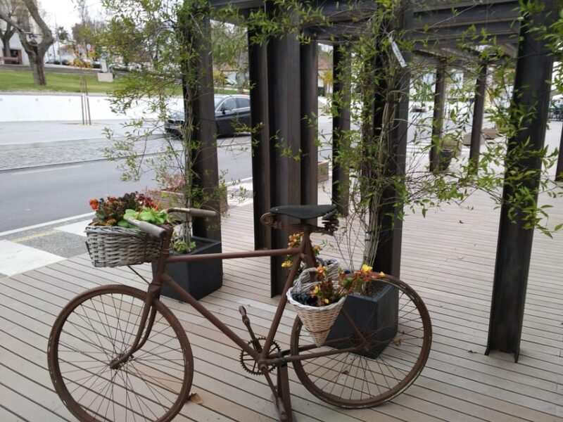 Setúbal: Market, Tiles and Wine (From Lisbon) - Final Thoughts on the Setúbal: Market, Tiles and Wine Tour