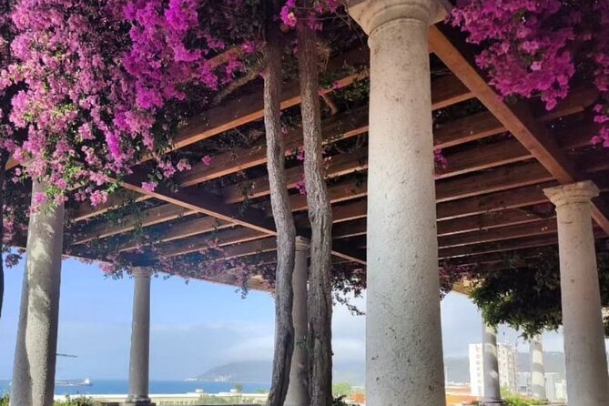 Setúbal Private Walking Tour Off-the-Beaten-Path - The Vibrant Mercado do Livramento Experience