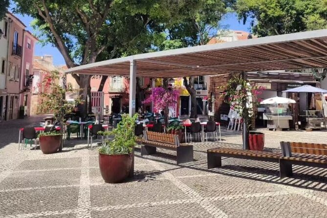 Setúbal Private Walking Tour Off-the-Beaten-Path - Strolling Through Praça do Bocage and the Historic Center