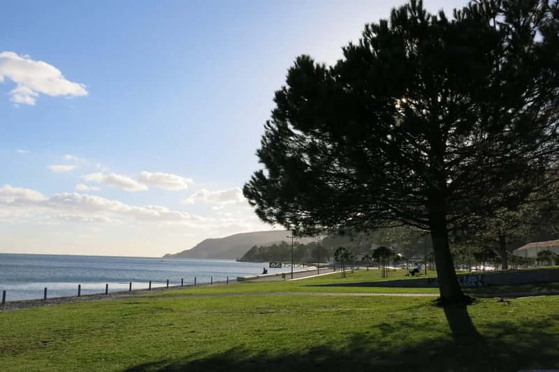 Setúbal: Private Walking Tour with Tastings - Scenic Walks with Stunning River and Mountain Views