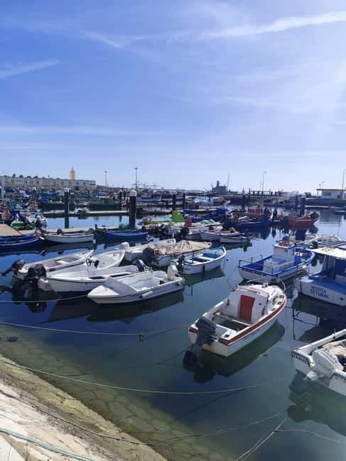 Setúbal: Private Walking Tour with Tastings - Logistics and Group Size