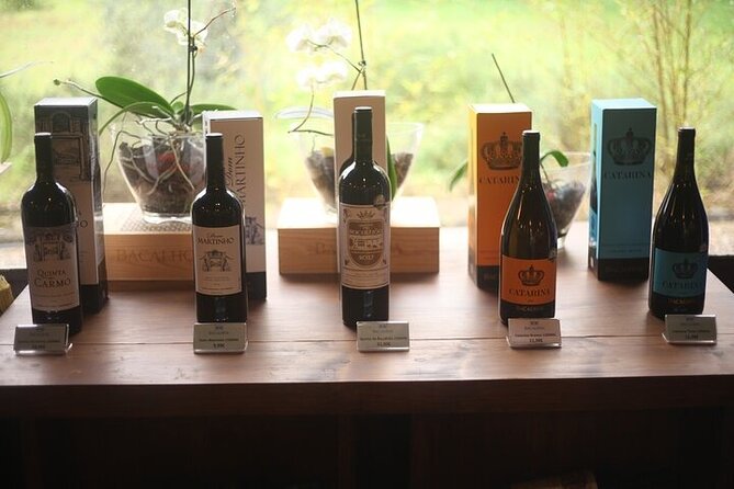 Setubal Private Wine Tour, Food Tasting, Beaches, Palaces and Art - Discovering Setúbals Coastal Charm and Historic Fortifications