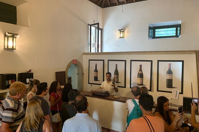 Setúbal Wine Tour with Visit and Tasting at 2 Wineries - Optional Visit to Farm Catralvos for an Alternative Experience