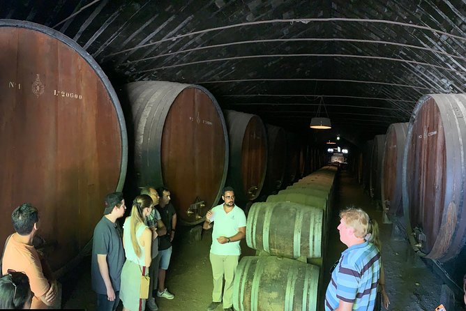 Setúbal Wine Tour with Visit and Tasting at 2 Wineries - Pacing, Timing, and Flexibility