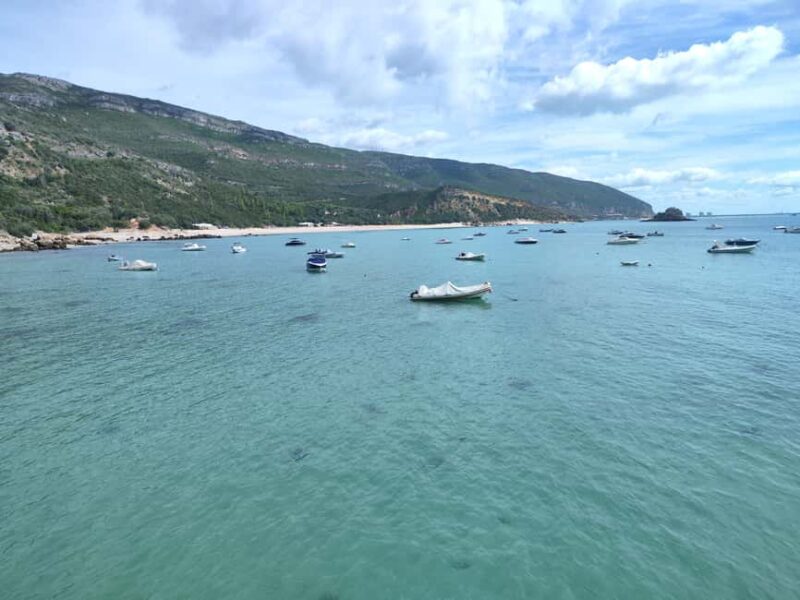 Setúbal,Sesimbra& Palmela - Nature&Culture - Lunch and Wine Tasting in the Setúbal Region