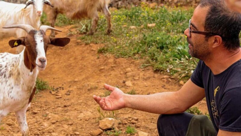 Seulo: Farm Tour with Local Product Tasting - Traditional Farming Techniques in Barbagia