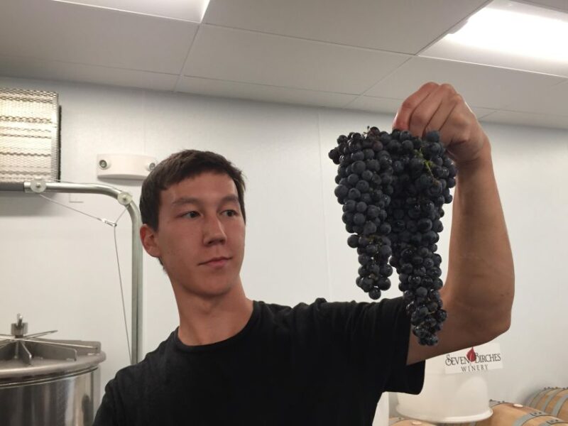 Seven Birches Winery - Meet the Winemakers Winery Tour - Seven Birches Winery - A Focused and Personal Wine Tour