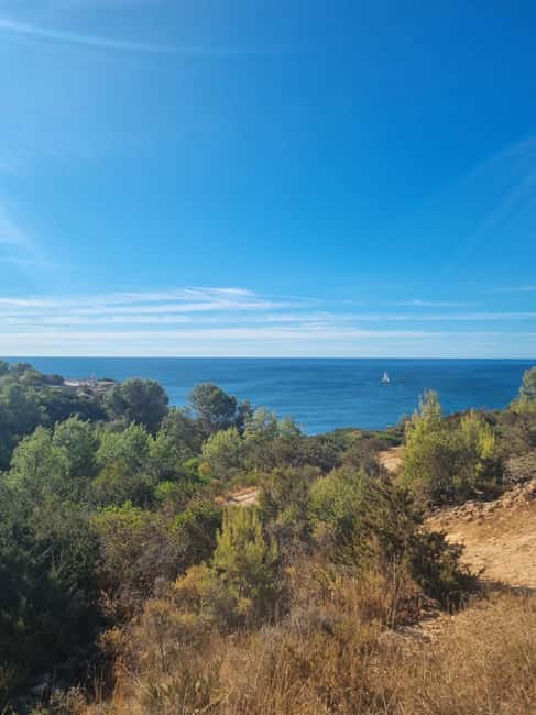 Seven Hanging Valleys Trail: Algarve Walking Tour - The Guides and Their Multilingual Skills