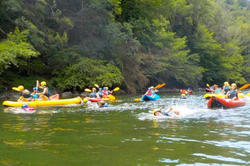 Severin na Kupi: Canoeing and Kayaking on the Kupa River - Practical Details and Booking Flexibility