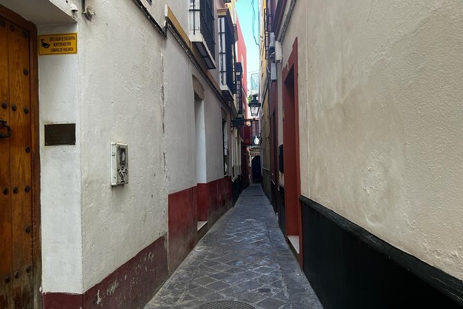 Sevilla: Essential Private Tour - Strolling Through the Santa Cruz Neighborhood