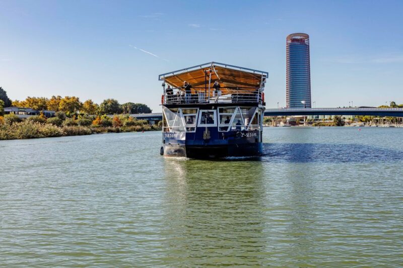 Sevilla: Hop-On Hop-Off & Walking Tours, Cruise & Flamenco - Whats Not Included in the Package