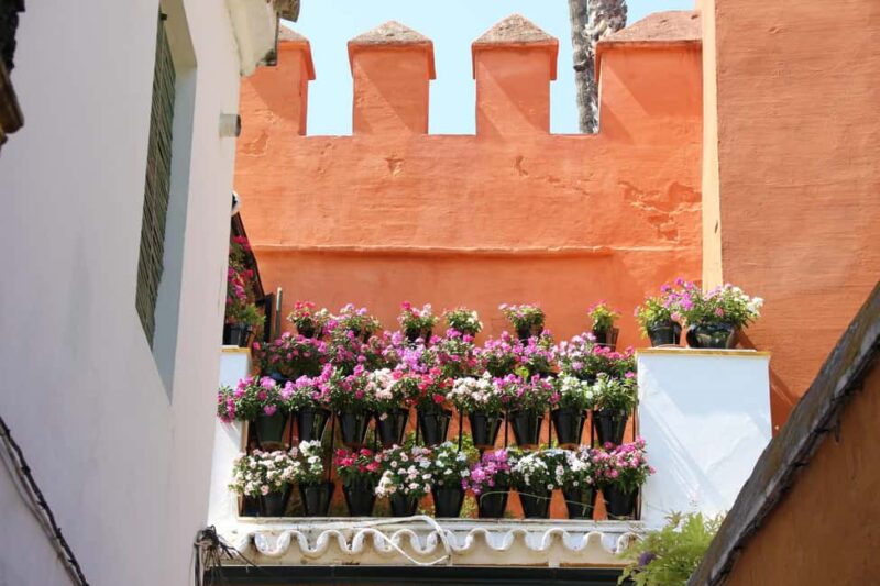 Sevilla Milenaria: legado de judíos, cristianos y musulmanes - Practicalities for a Comfortable Tour Experience