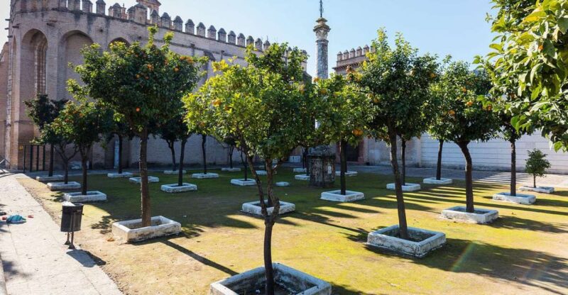 Sevilla: San Isidoro del Campo Monastery Guided Tour - Discover San Isidoro del Campo: A Seville Treasure