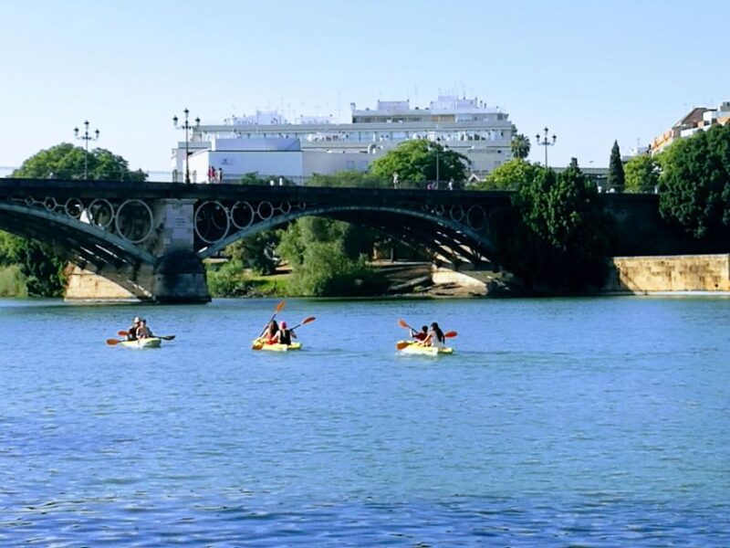 Seville: 2Hour Guadalquivir River Kayaking Tour - The Guide’s Role in Ensuring a Safe and Informative Tour