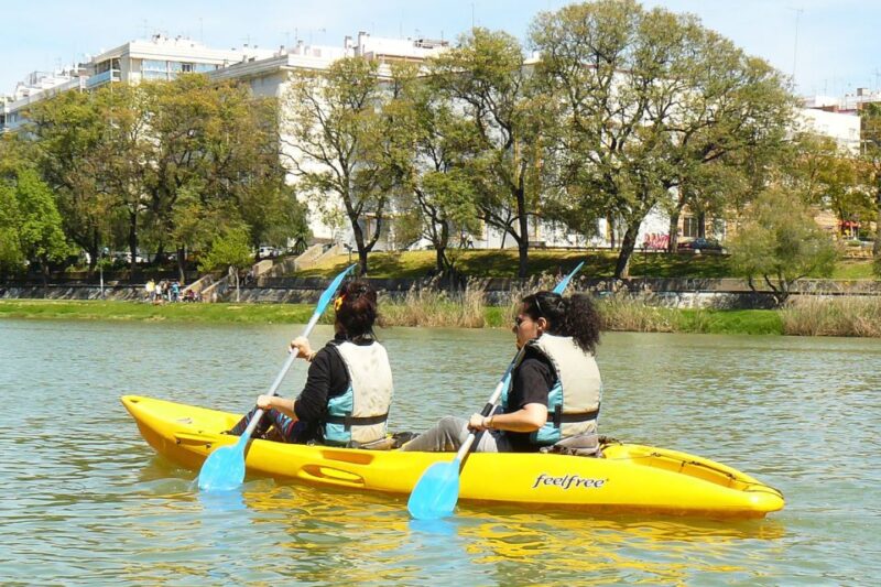 Seville: 2Hour Guadalquivir River Kayaking Tour - The Physical and Practical Aspects of the Tour