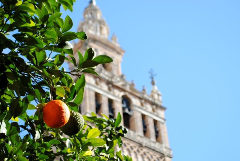 Seville 4-Hour Guided Walking Tour - Accessibility and Practical Tips for Participants