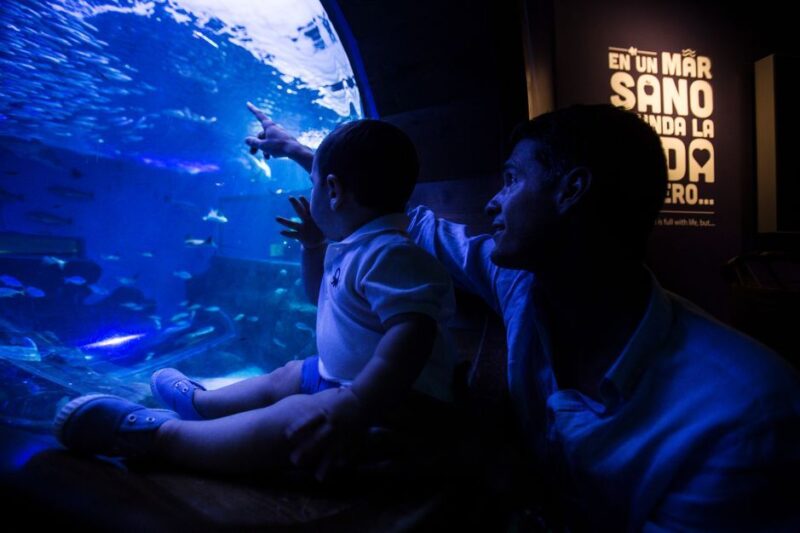 Seville Aquarium Admission Ticket - Key Points