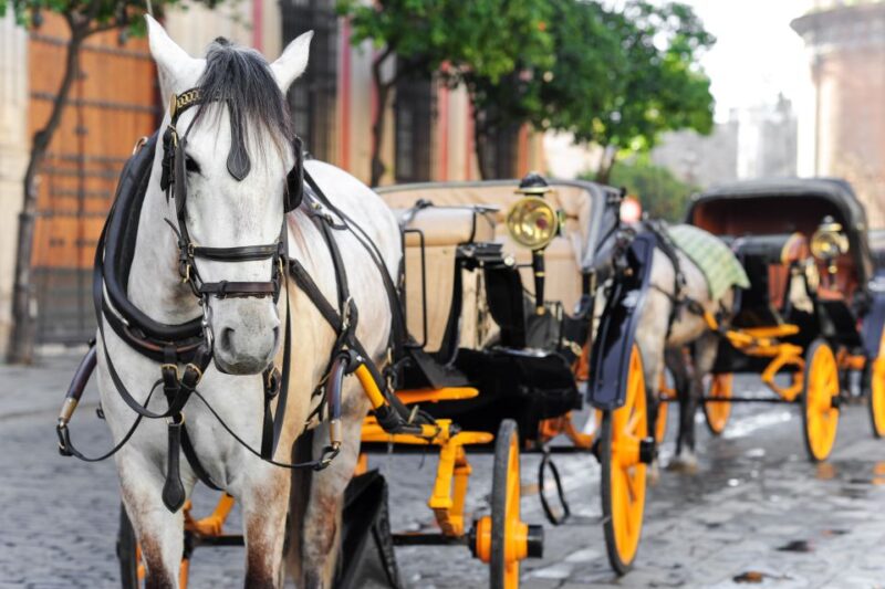 Seville: Authentic and Romantic Horse-Drawn Carriage Ride - From the Old Town to the Riverside: The Ride’s Key Stops