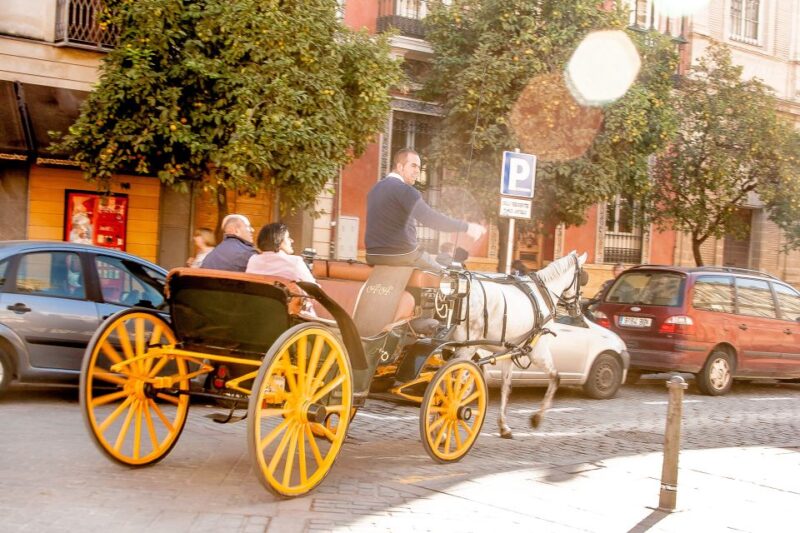 Seville: Authentic and Romantic Horse-Drawn Carriage Ride - Practical Tips for a Comfortable Ride