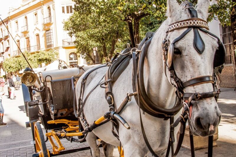 Seville: Authentic and Romantic Horse-Drawn Carriage Ride - Who Will Love This Seville Horse and Carriage Ride?