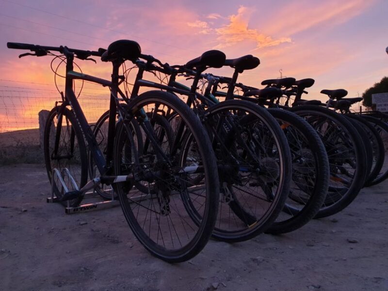Seville: Bike Rental - The Experience Provider: Naturanda Turismo Ambiental