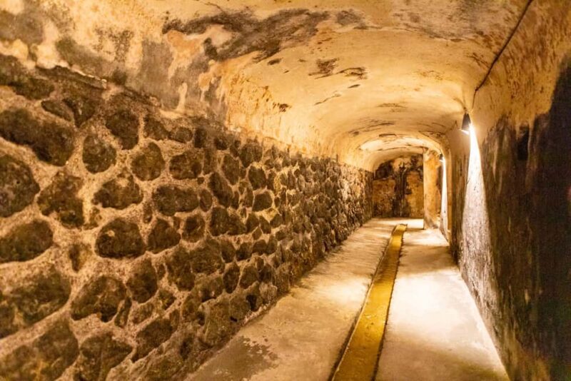 Seville, Carmona: Puerto de Indias Distillery premium tour with GIN Tonic - Visiting the Roman Water Mine and Gardens of Finca Brenes