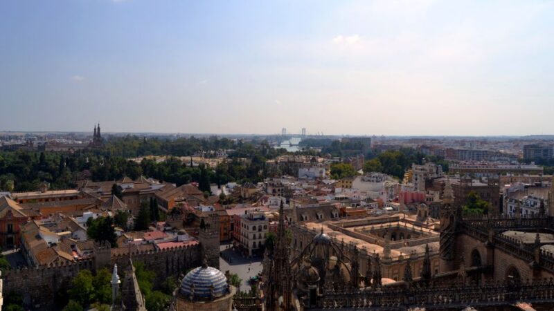Seville Cathedral and Giralda Tower Guided Tour and Tickets - Accessibility and Physical Considerations