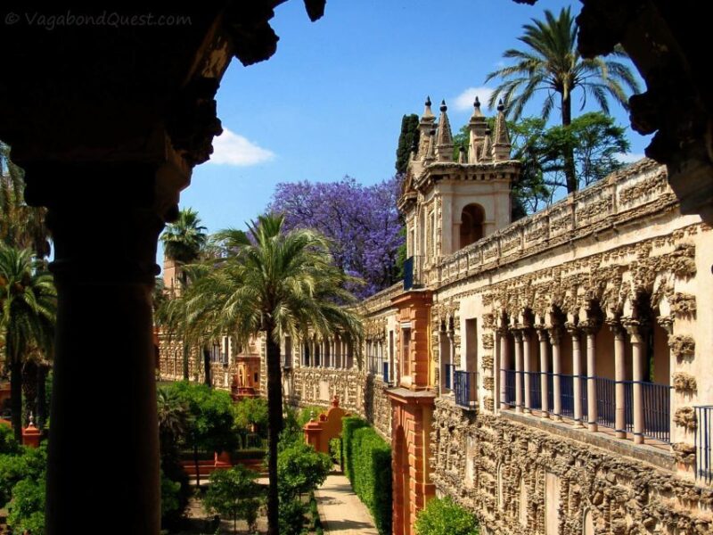 Seville: Cathedral, Giralda & Alcázar Guided Tour - Accessibility and Group Size