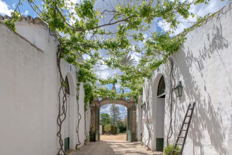 Seville: Check out Bodegas Góngora - Explore Seville’s Historic Bodegas Góngora: The Second Oldest Winery in Spain